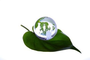 睿容環保 凈睿產品如何成為環保事業發展的核心引擎